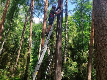 Wieszanie budek dla puszczyka i kowalika, 